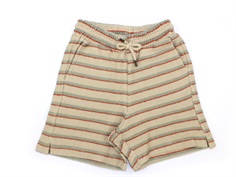 Soft Gallery shorts Alisdair mojave desert